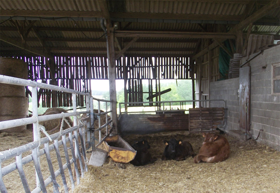 Theseo  Biosécurité - Élevage de Petits Ruminants