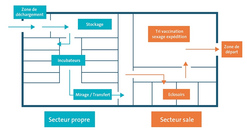 Theseo  Biosécurité - Élevage de Petits Ruminants