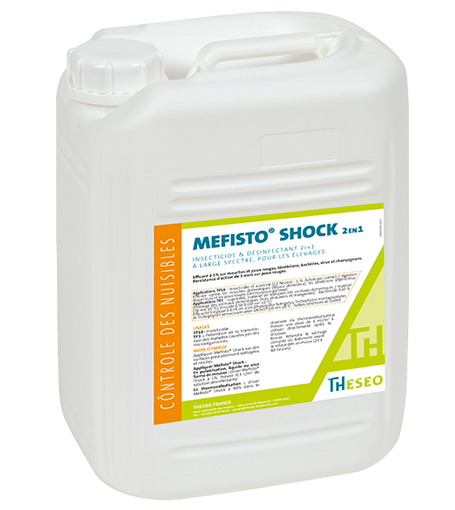Mefisto Shock