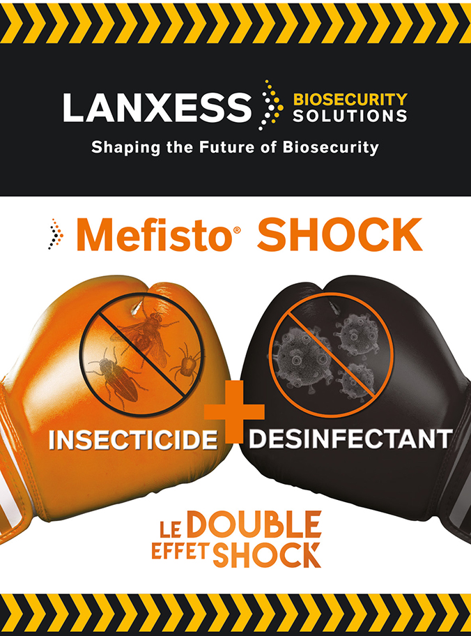 Mefisto Shock